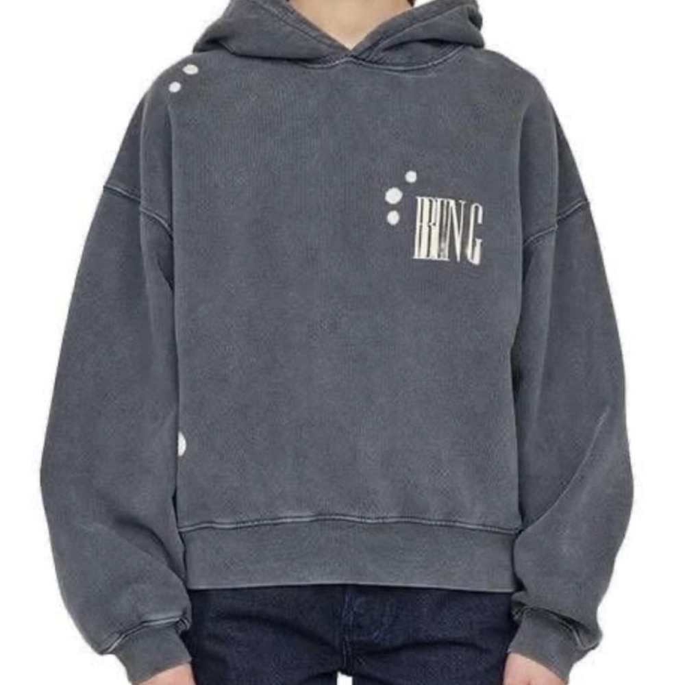 Anine Bing Alec Bleached Washed Black Hooded Sweatshirt